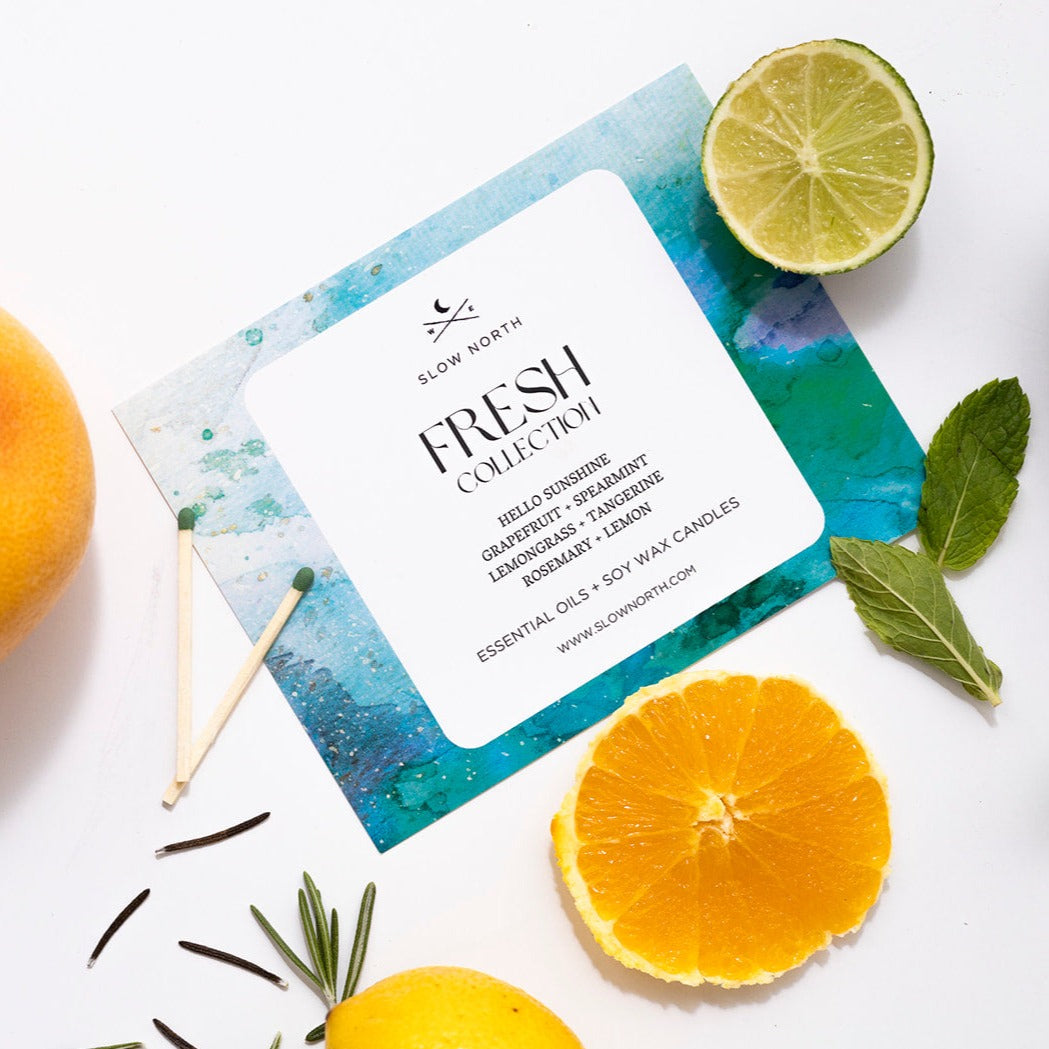 Fresh Collection - 4 Pack by Slow North