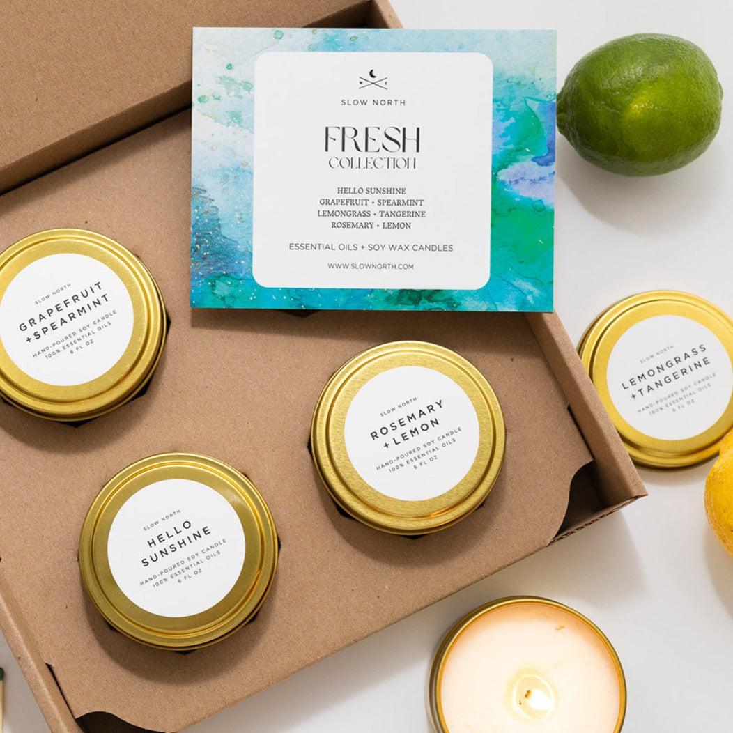 Fresh Collection - 4 Pack by Slow North