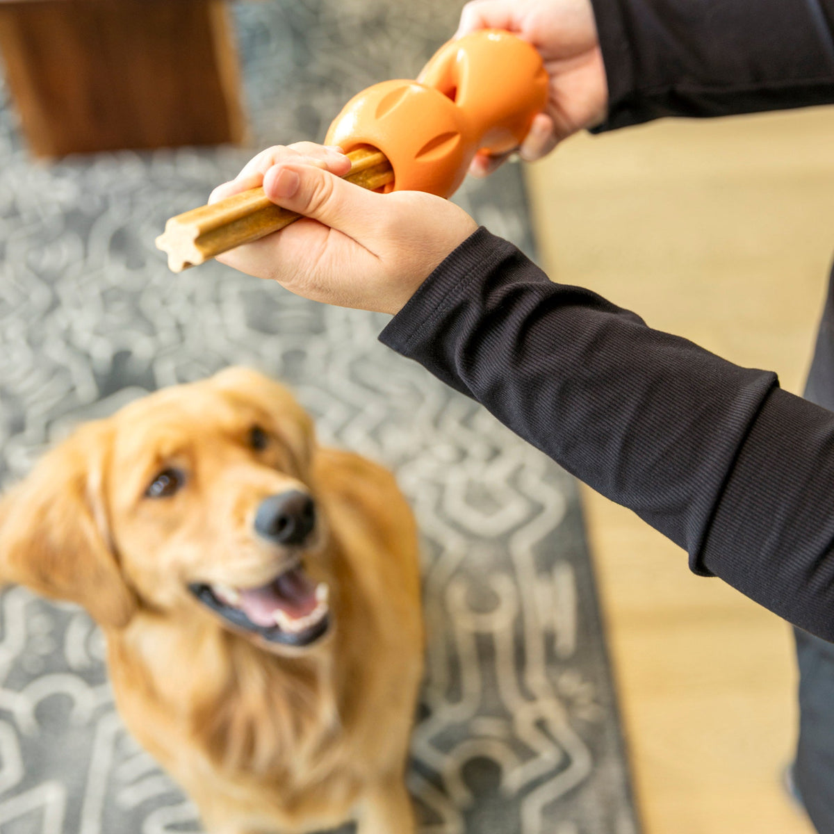 Natural Dental Sticks Large by West Paw