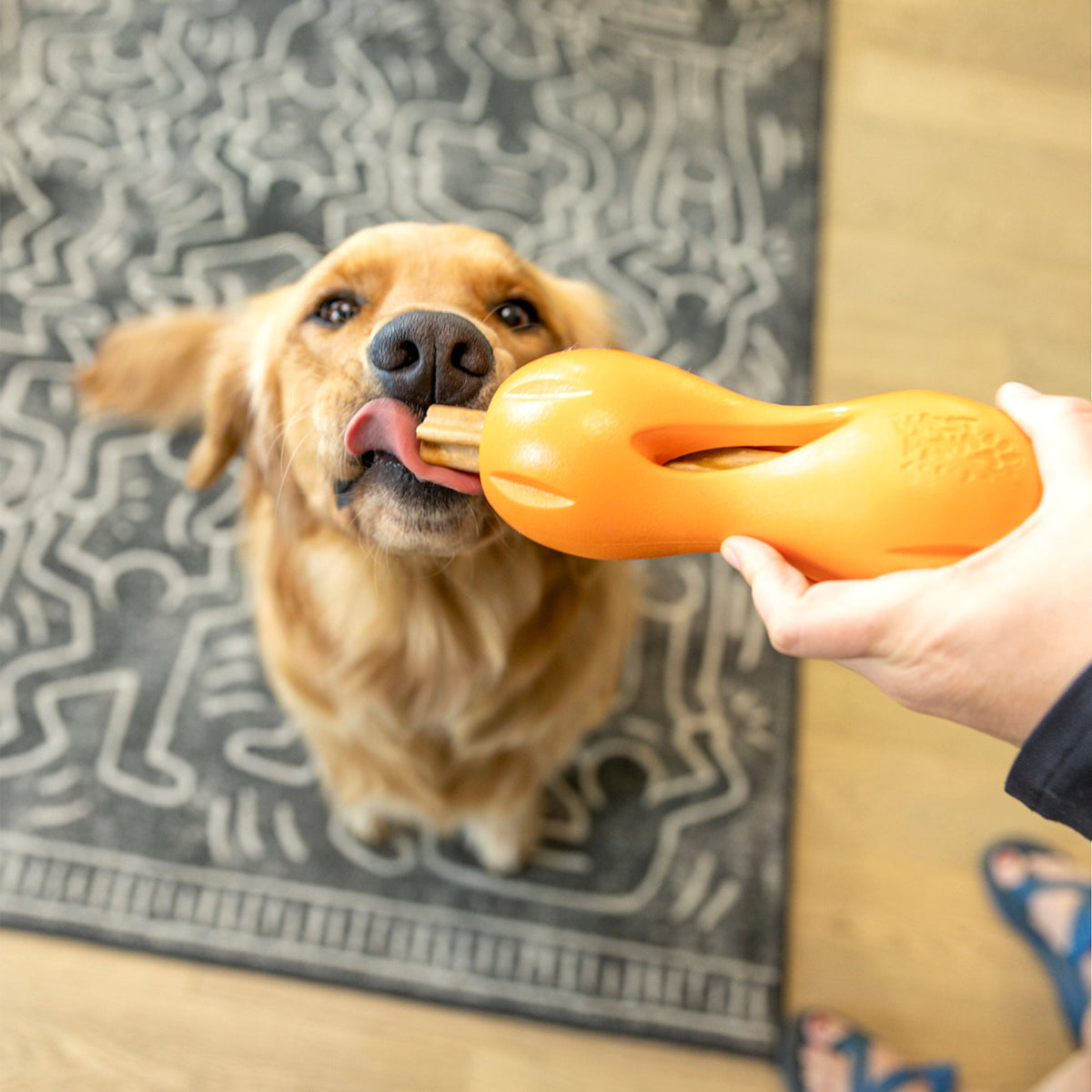 Natural Dental Sticks Large by West Paw