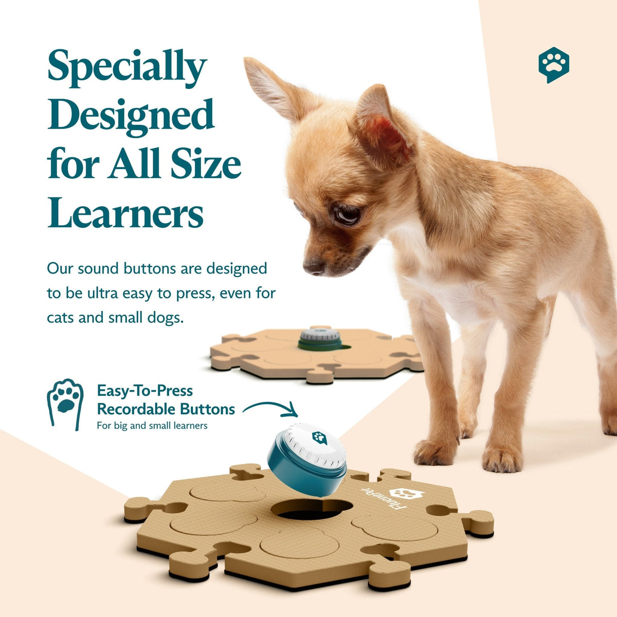 Get Started Kit Beige by FluentPet