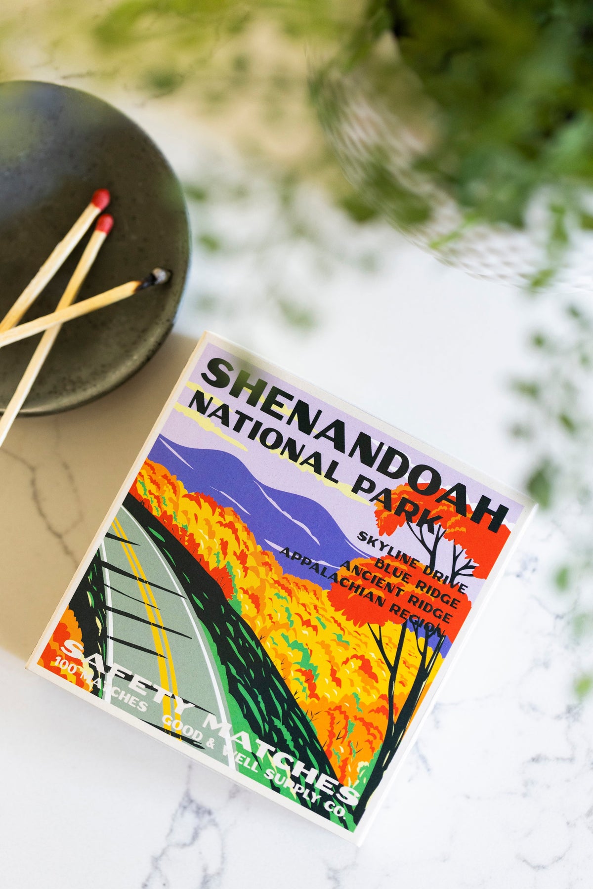Shenandoah Vintage National Park Cabin Matches by Good & Well Supply Co.