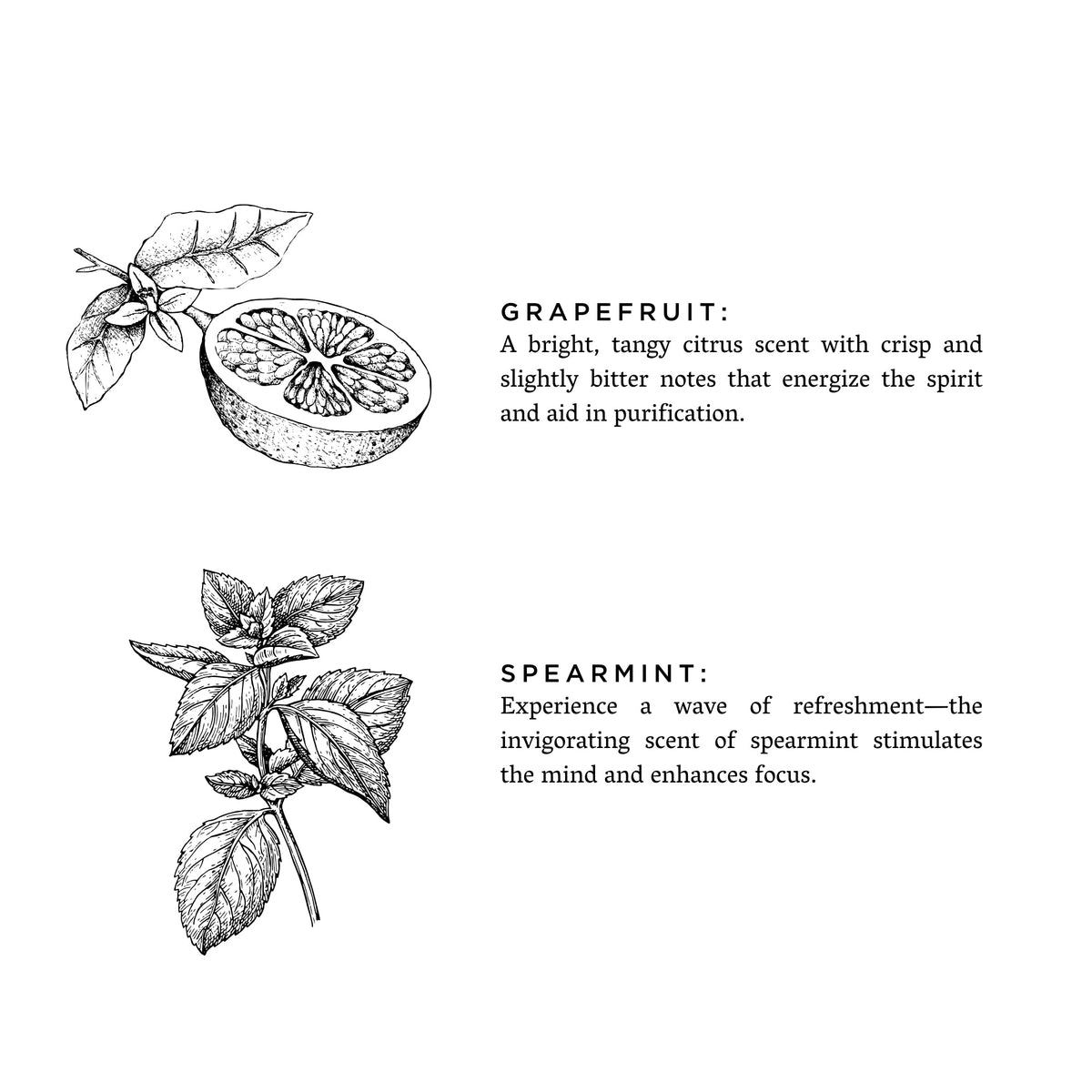 Grapefruit + Spearmint by Slow North