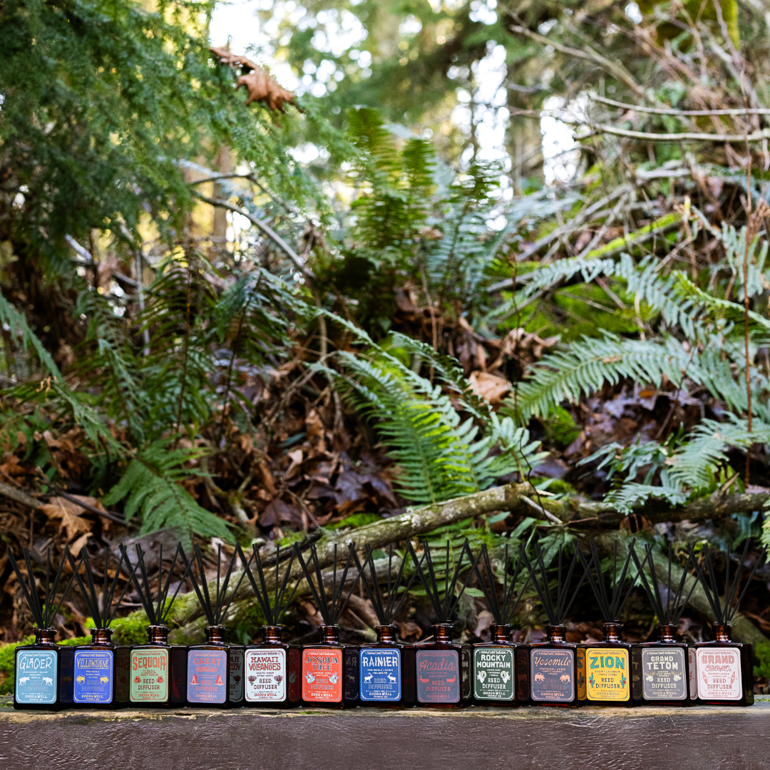 Rainier National Park Reed Diffuser by Good & Well Supply Co.