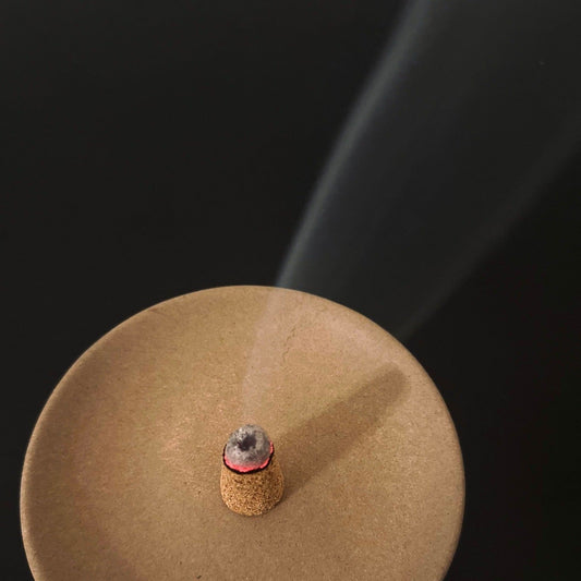 Palo Santo Incense Cones by Slow North