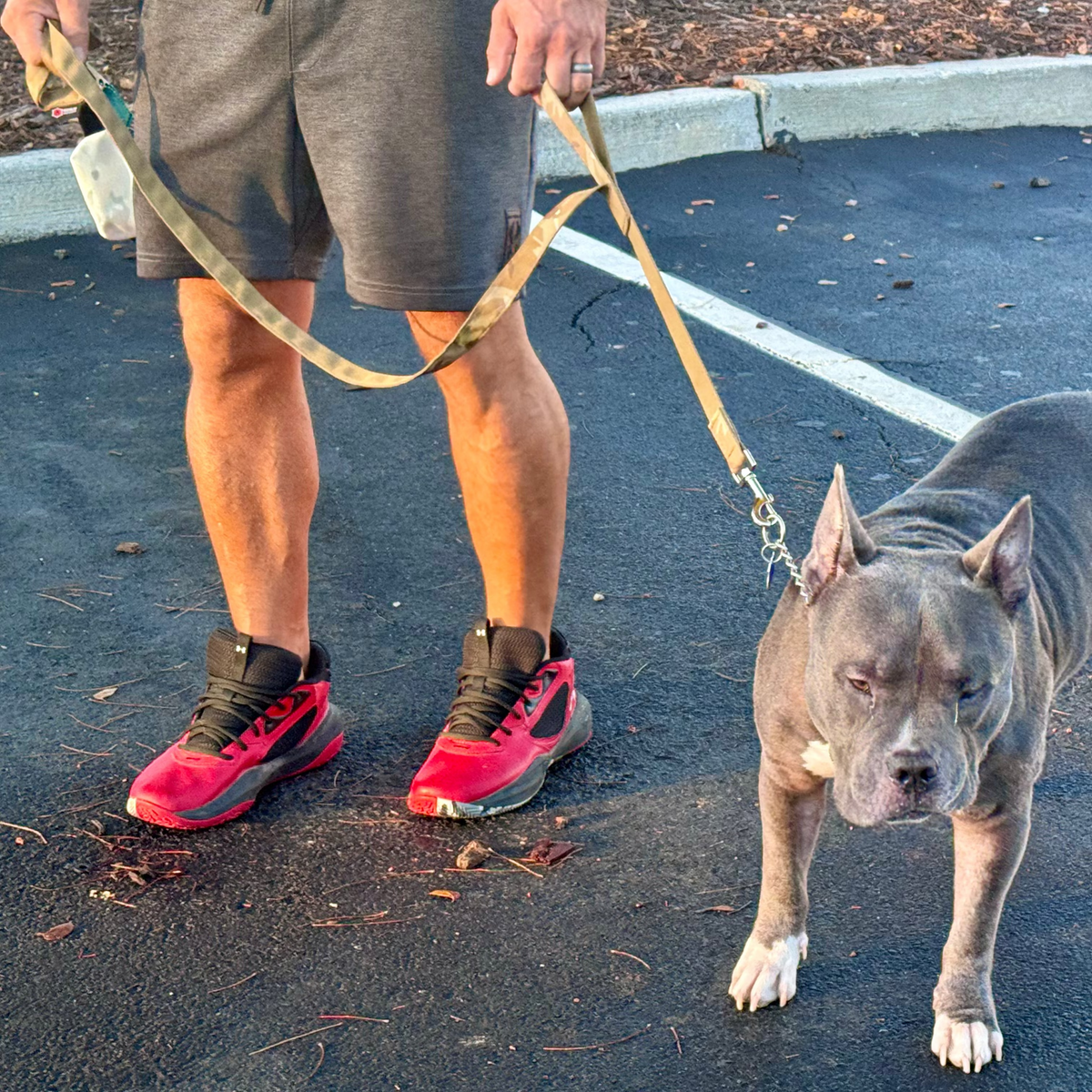 K9 Command Lead - Dual Control Dog Leash by Recycled Firefighter