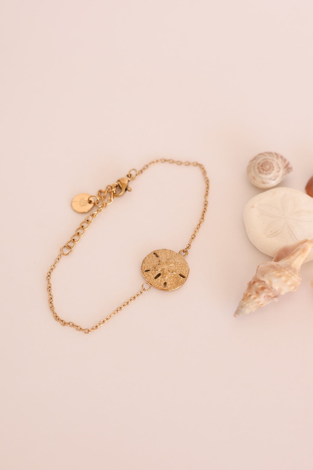 Sand Dollar Bracelet by Rose & Clay