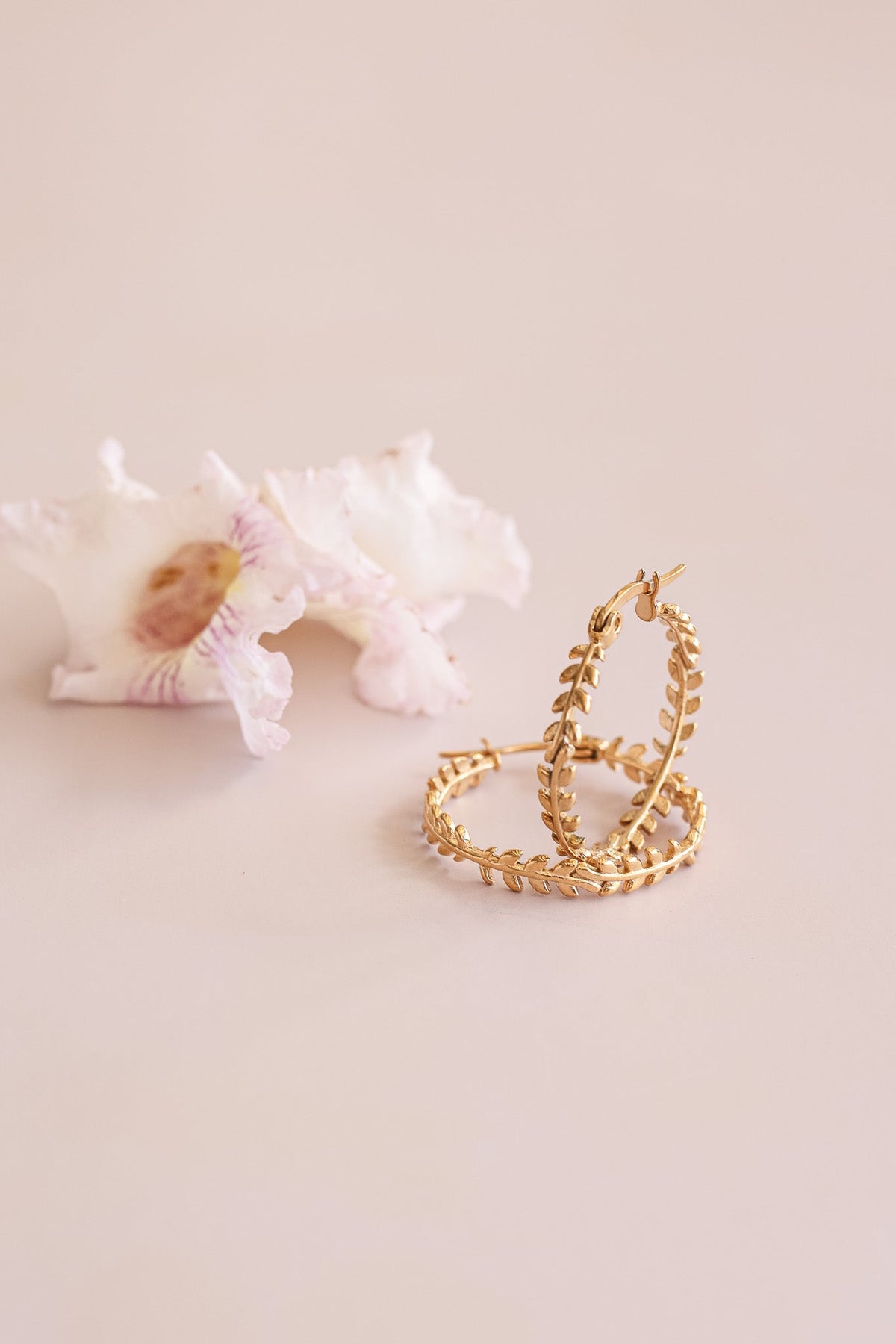 Ivy Hoop by Rose & Clay