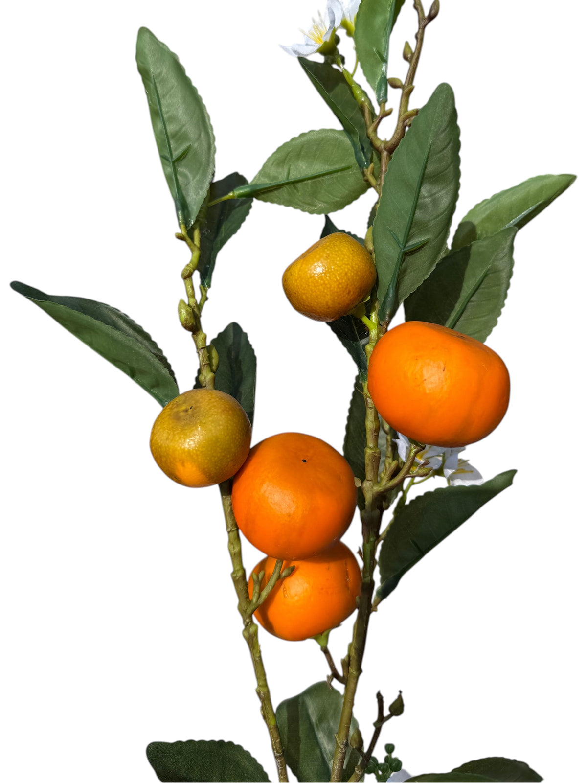 Honey Tangerine Branch Stem by Rust & Cinder