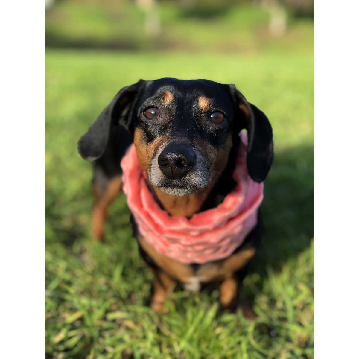 Hubba Hubba Scarf by Scarlet Gaia