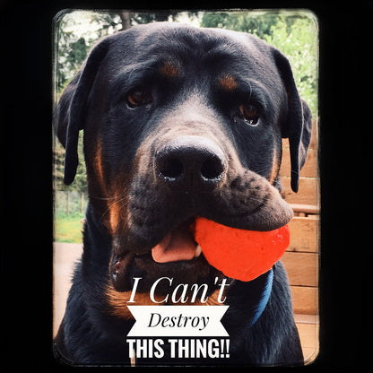 WUNDERball - Best Fetch Toy by WACKYstore