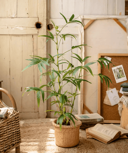 Artificial Bamboo Leaves in Pot by RusticReach