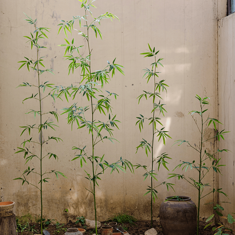 Artificial Bamboo Stem Faux Screen Plant Set of 10 by RusticReach