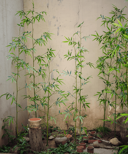 Artificial Bamboo Stem Faux Screen Plant Set of 10 by RusticReach