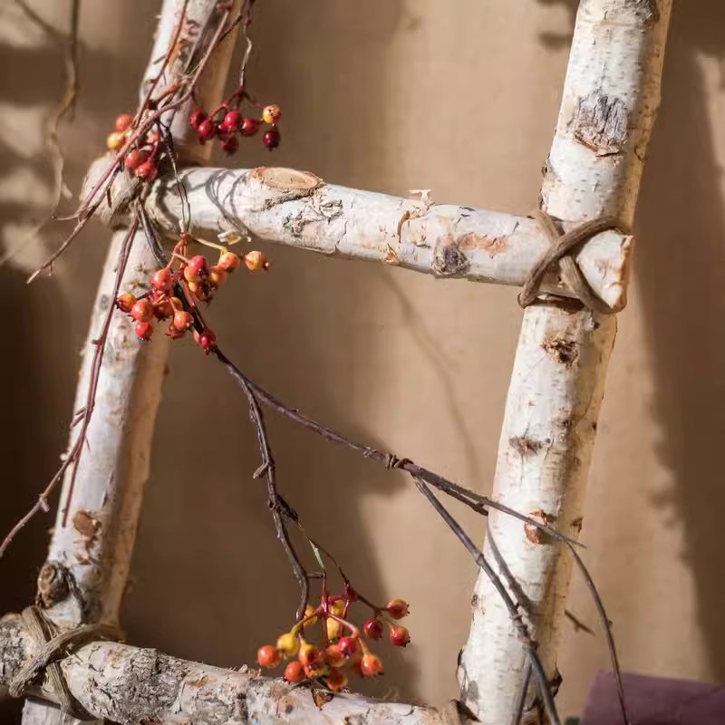 White Birch Wood Decorative Ladder by RusticReach