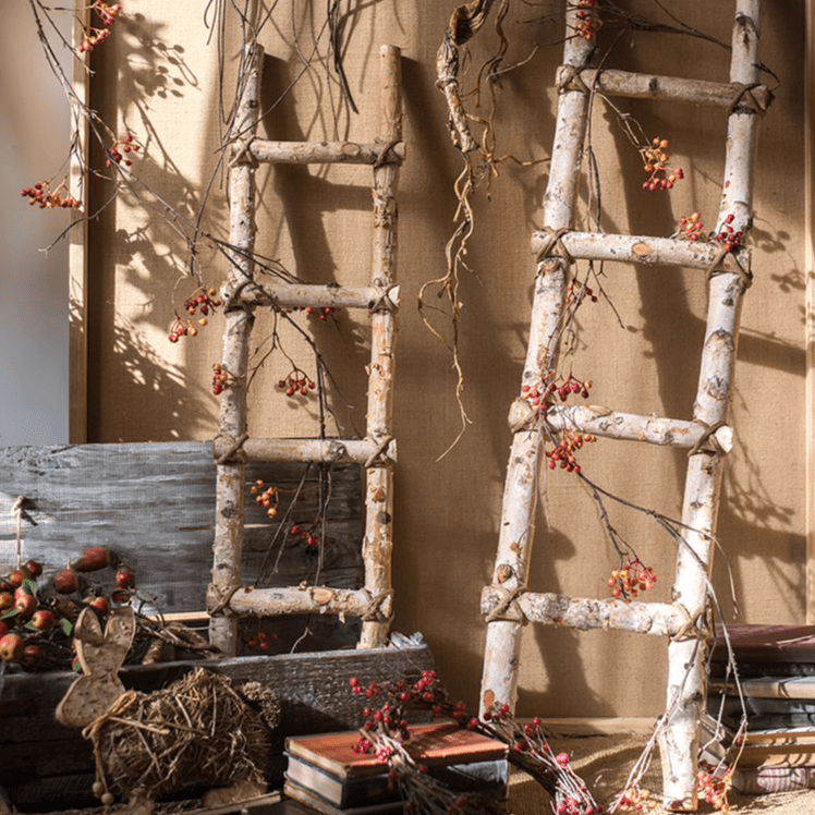 White Birch Wood Decorative Ladder by RusticReach