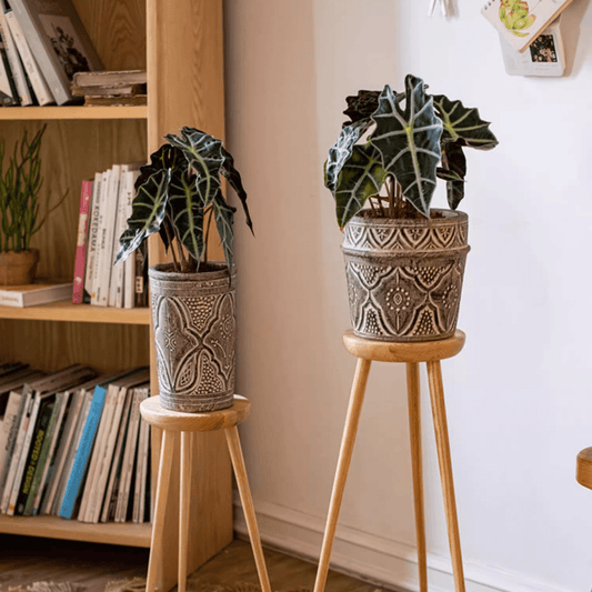 Classic Element Art Planter Clay Flowerpot by RusticReach
