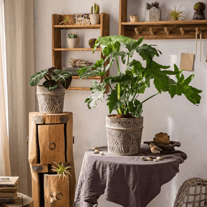 Classic Element Art Planter Clay Flowerpot by RusticReach