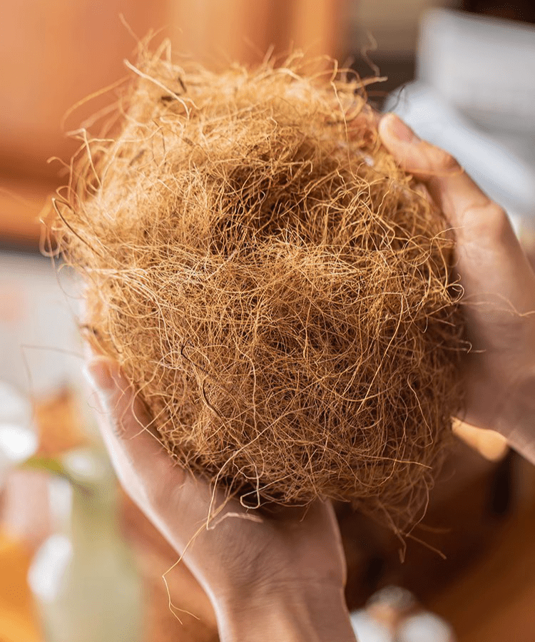 Coconut Fiber Pot Soil Surface Decoration Padding Material Set of 3 by RusticReach