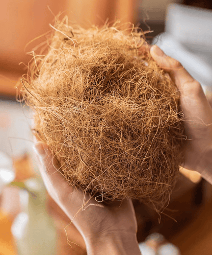 Coconut Fiber Pot Soil Surface Decoration Padding Material Set of 3 by RusticReach