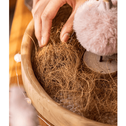 Coconut Fiber Pot Soil Surface Decoration Padding Material Set of 3 by RusticReach