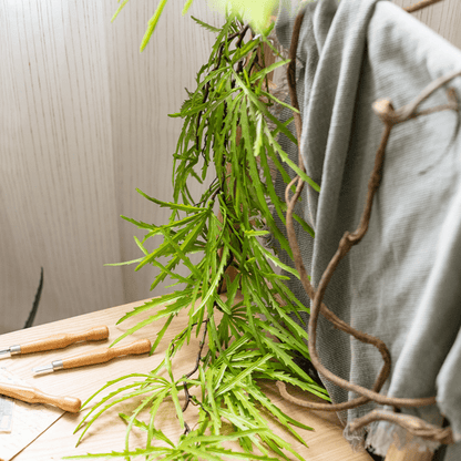 Artificial Ferns Vine Stem 39" Long by RusticReach