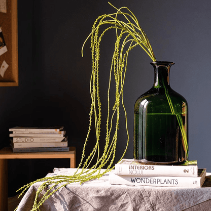 Artificial Vine Hanging Thin Succulent Stem by RusticReach