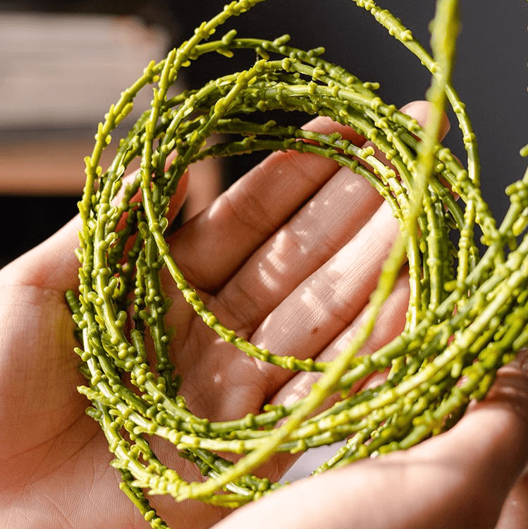 Artificial Vine Hanging Thin Succulent Stem by RusticReach