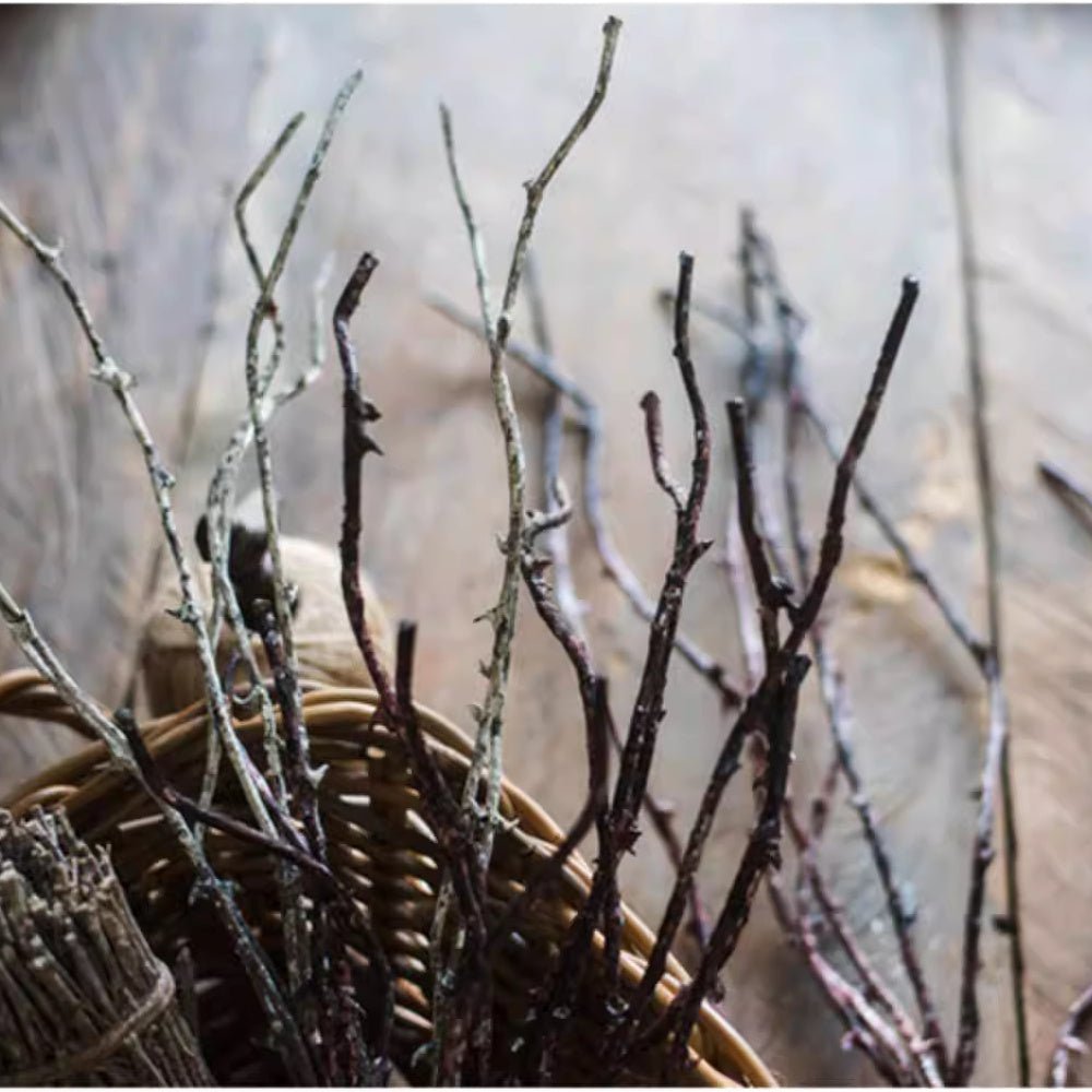 Ikebana Twig Branch by RusticReach