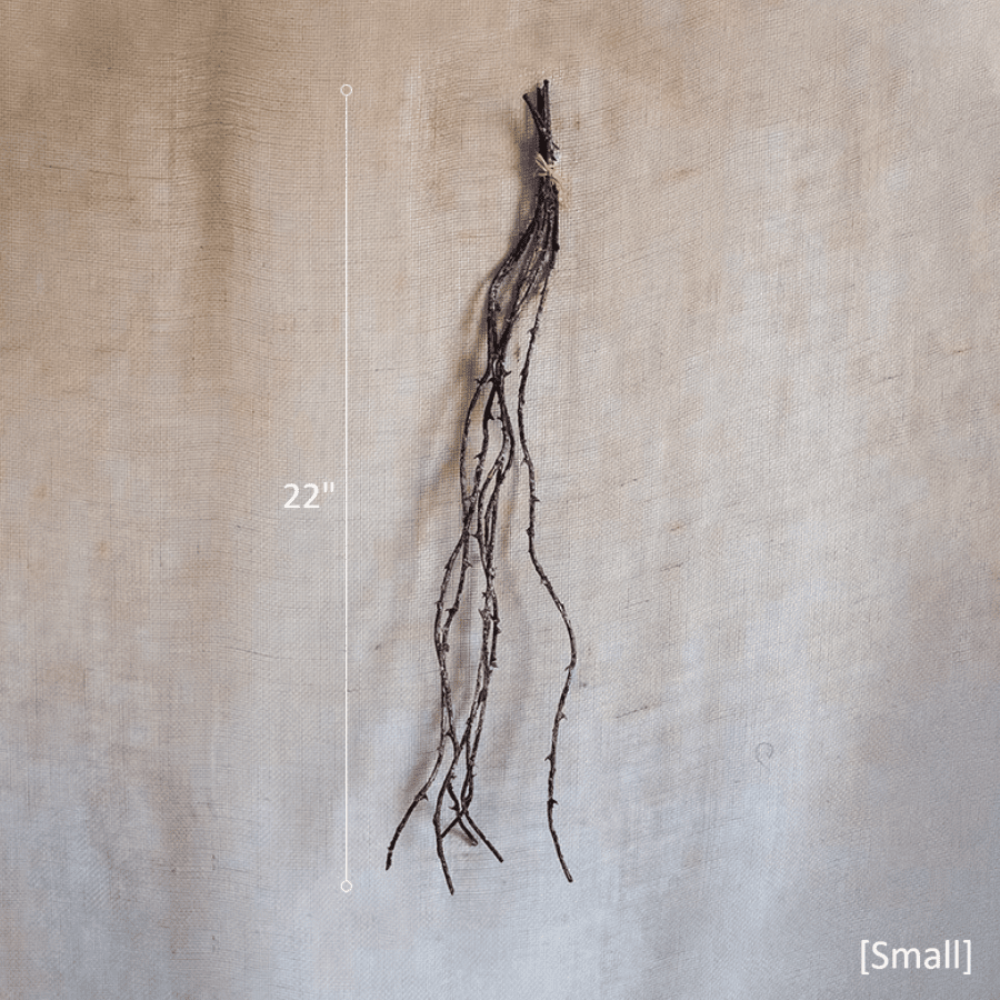 Ikebana Twig Branch by RusticReach