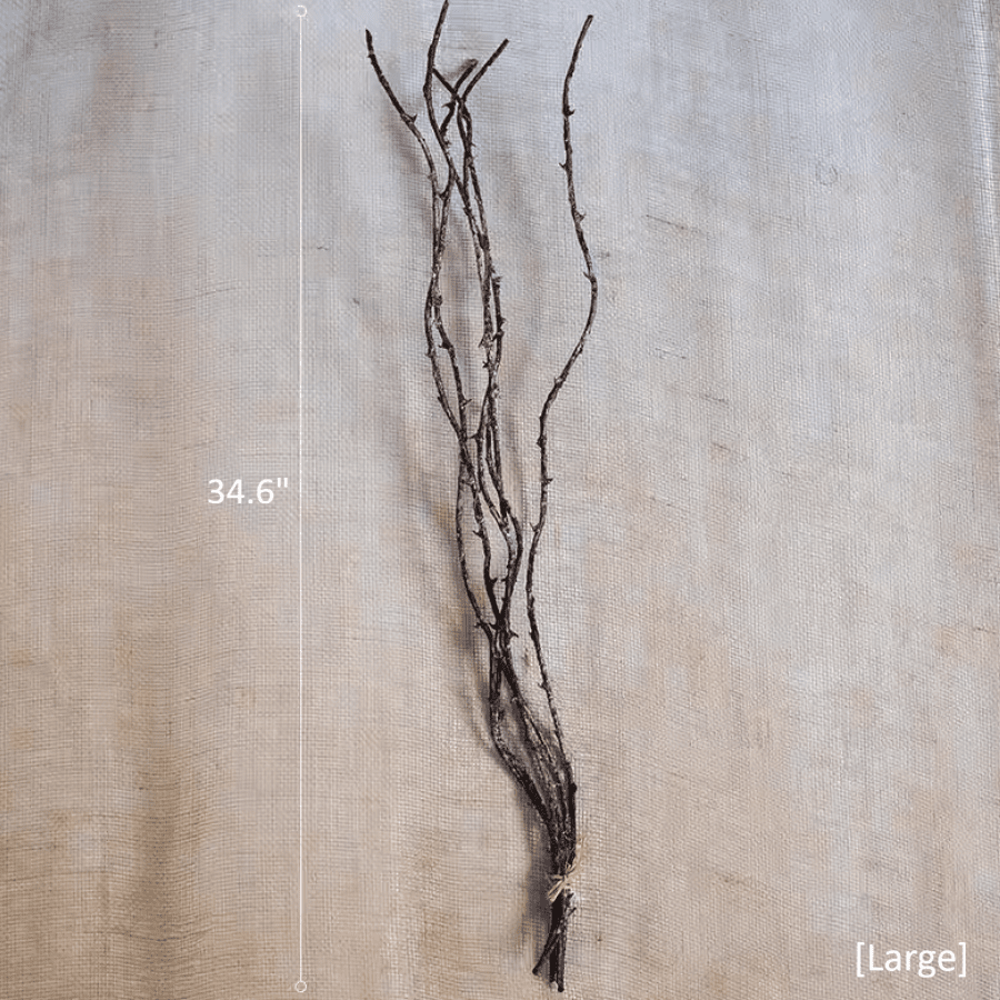 Ikebana Twig Branch by RusticReach