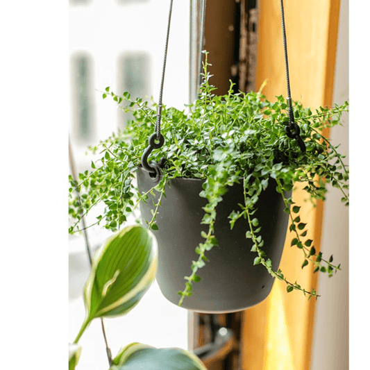 Modern Resin Hanging Planter for Artificial Plants by RusticReach