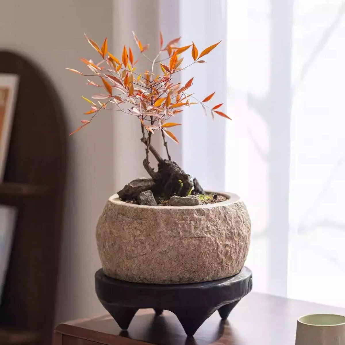 Mesa Cement Pot Planter by RusticReach