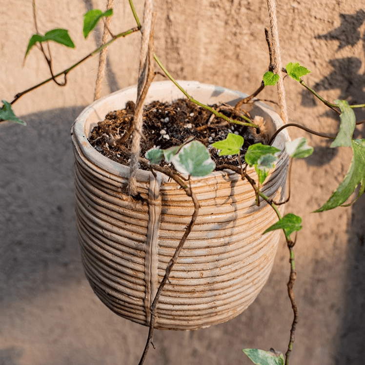 Faux Rattan Cement Hanging Planter by RusticReach