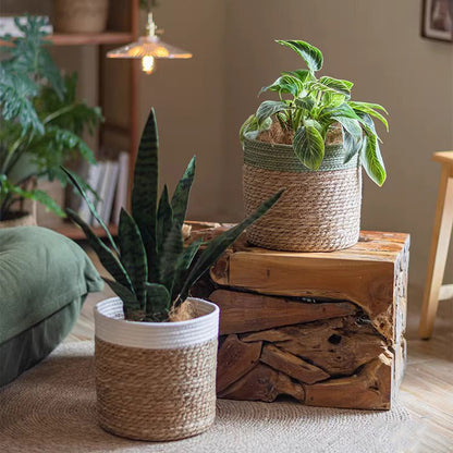 Woven Basket with Colored Rim by RusticReach