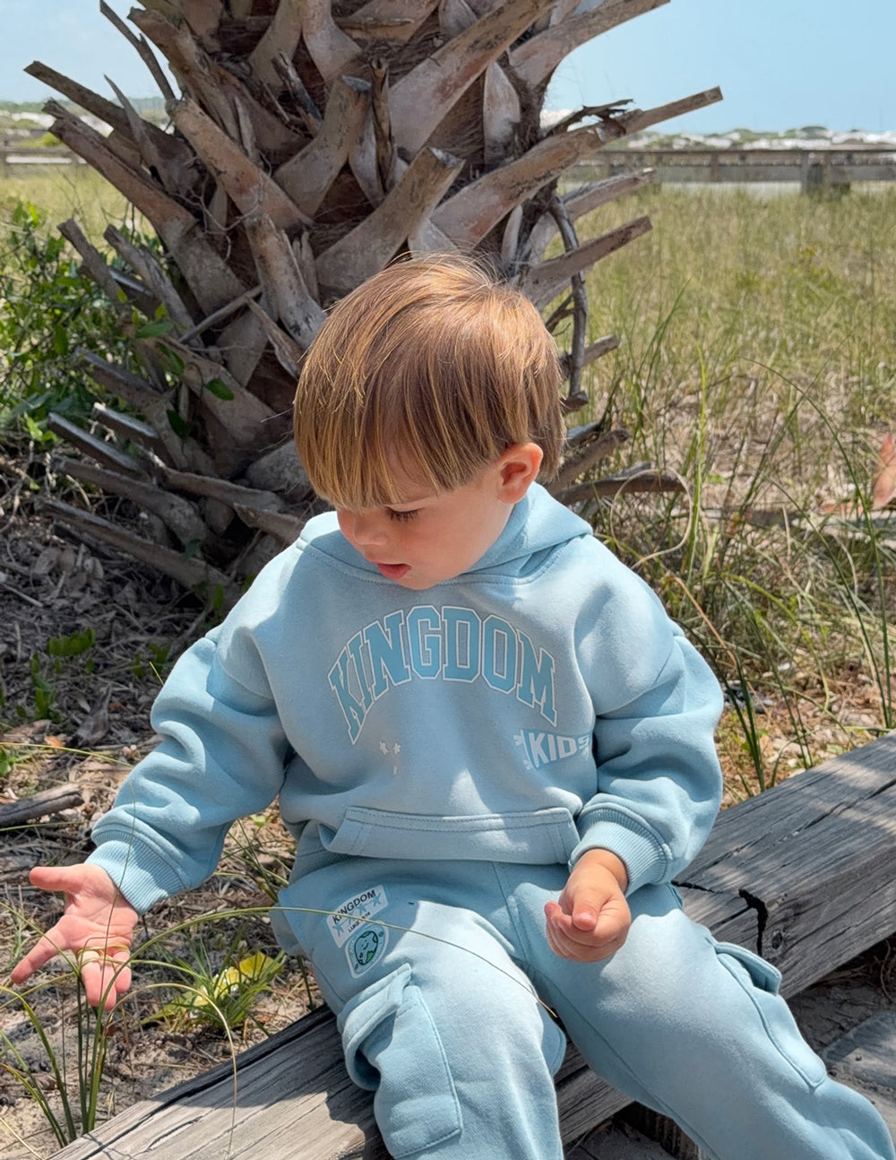 Kingdom Kids Hoodie by Elevated Faith