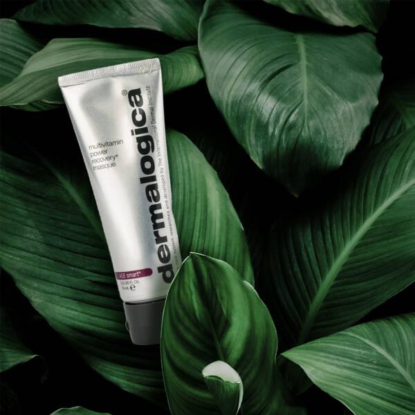 Dermalogica Multivitamin Power Recovery Masque - Anti-Aging Face Mask with Vitamin A & Natural Ingredients by Beauty Care Bag