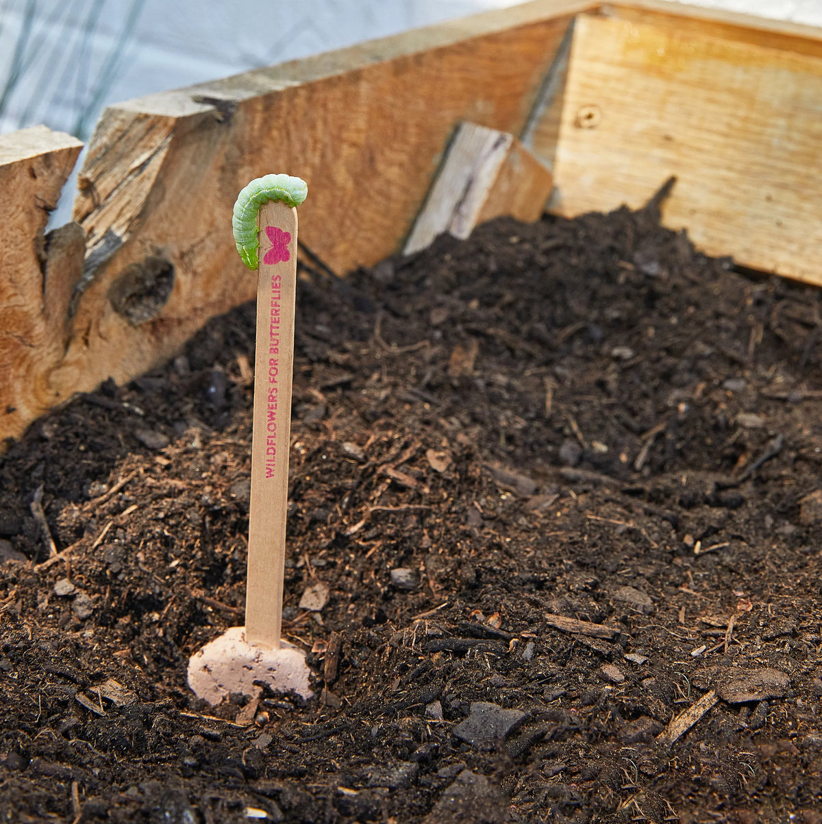 Plantable Wildflower Seed Pop Gift | Modern Sprout by Rust & Cinder