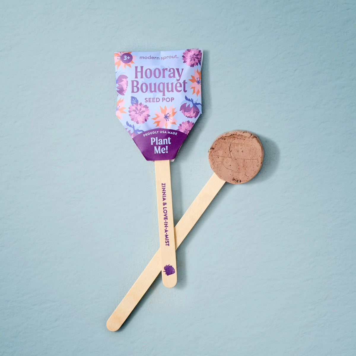 Plantable Wildflower Seed Pop Gift | Modern Sprout by Rust & Cinder