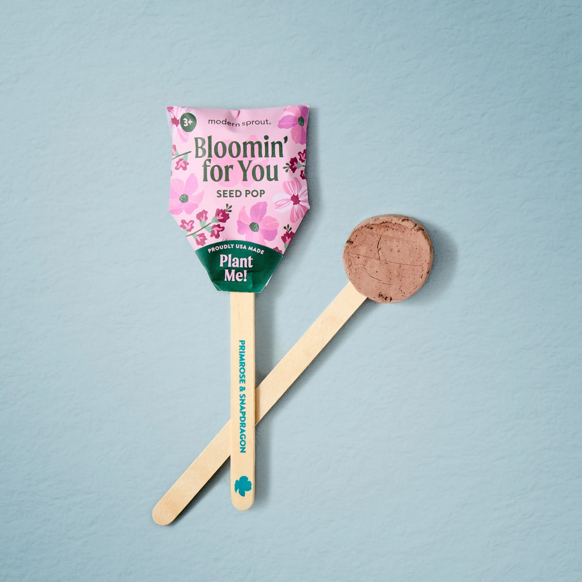 Plantable Wildflower Seed Pop Gift | Modern Sprout by Rust & Cinder