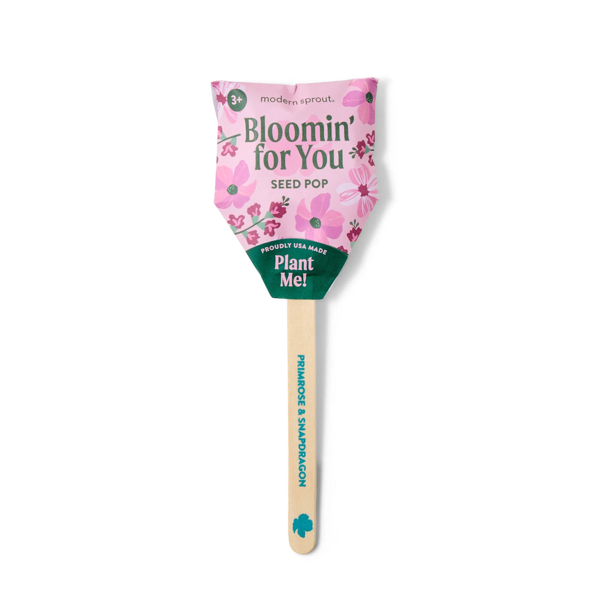 Plantable Wildflower Seed Pop Gift | Modern Sprout by Rust & Cinder