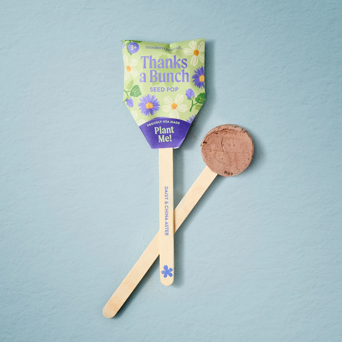 Plantable Wildflower Seed Pop Gift | Modern Sprout by Rust & Cinder