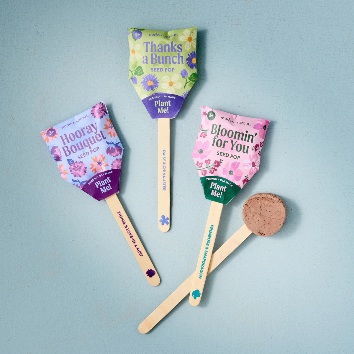 Plantable Wildflower Seed Pop Gift | Modern Sprout by Rust & Cinder