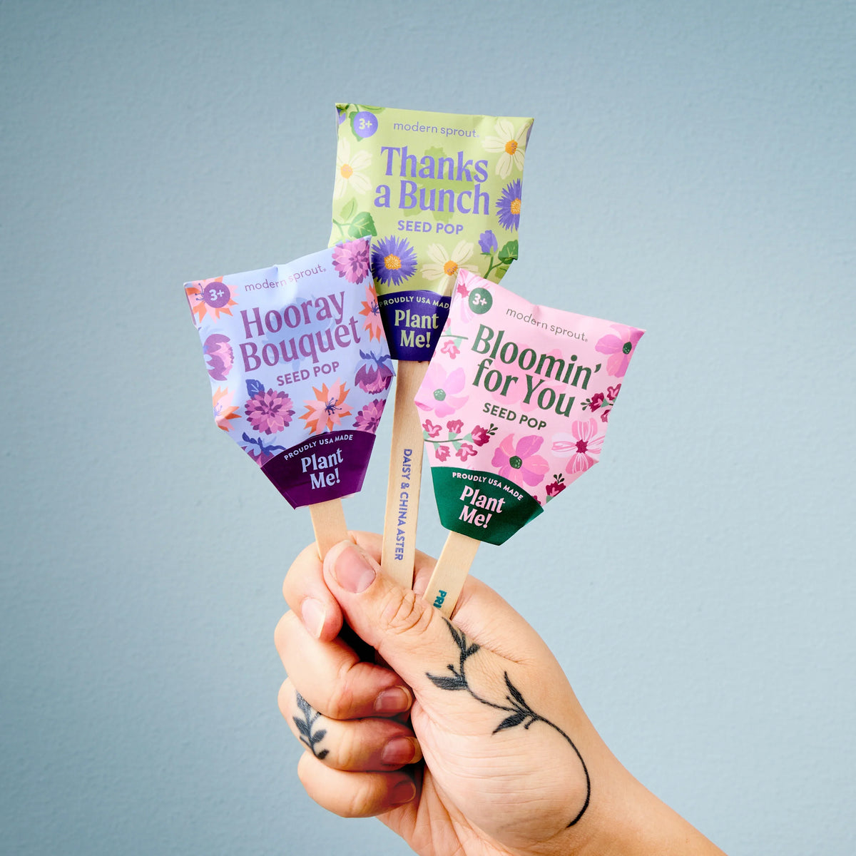 Plantable Wildflower Seed Pop Gift | Modern Sprout by Rust & Cinder