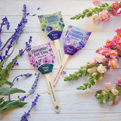 Plantable Wildflower Seed Pop Gift | Modern Sprout by Rust & Cinder