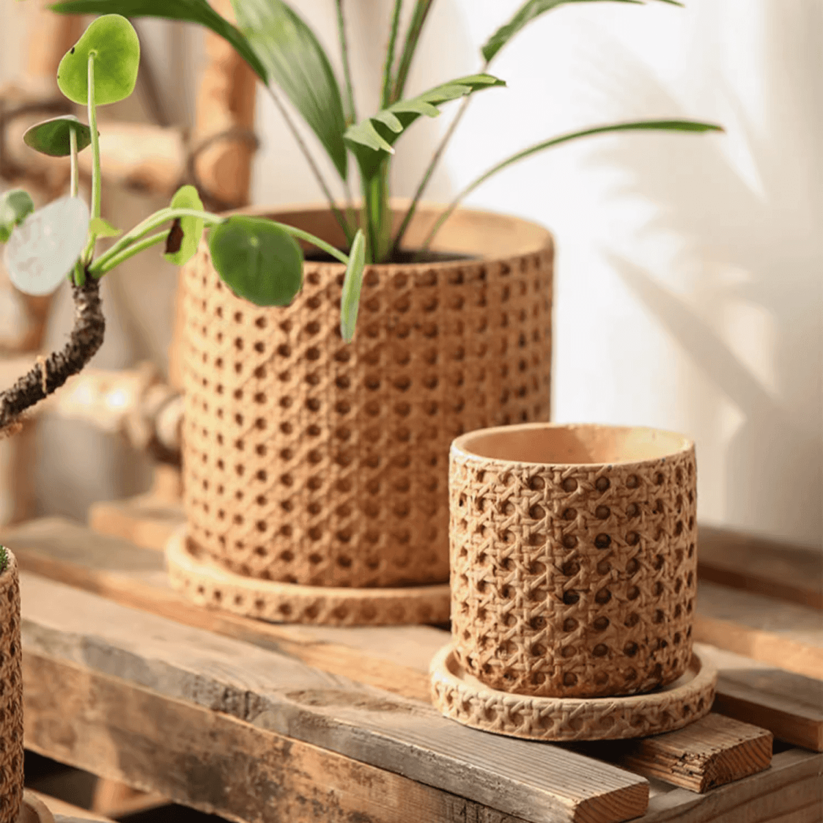 Faux Woven Grid Cement Pot by RusticReach