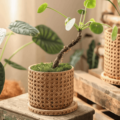 Faux Woven Grid Cement Pot by RusticReach