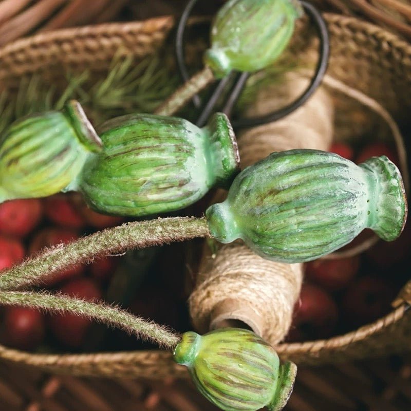 Green Poppy Fruit Stem 30.7" Tall 3-Stem Bundle by RusticReach
