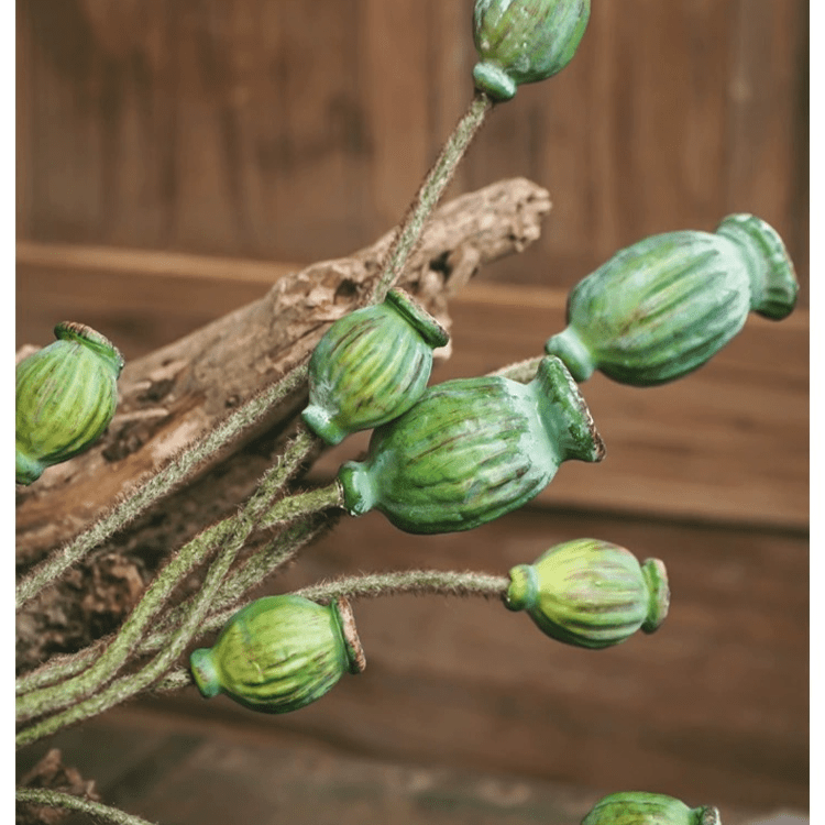 Green Poppy Fruit Stem 30.7" Tall 3-Stem Bundle by RusticReach
