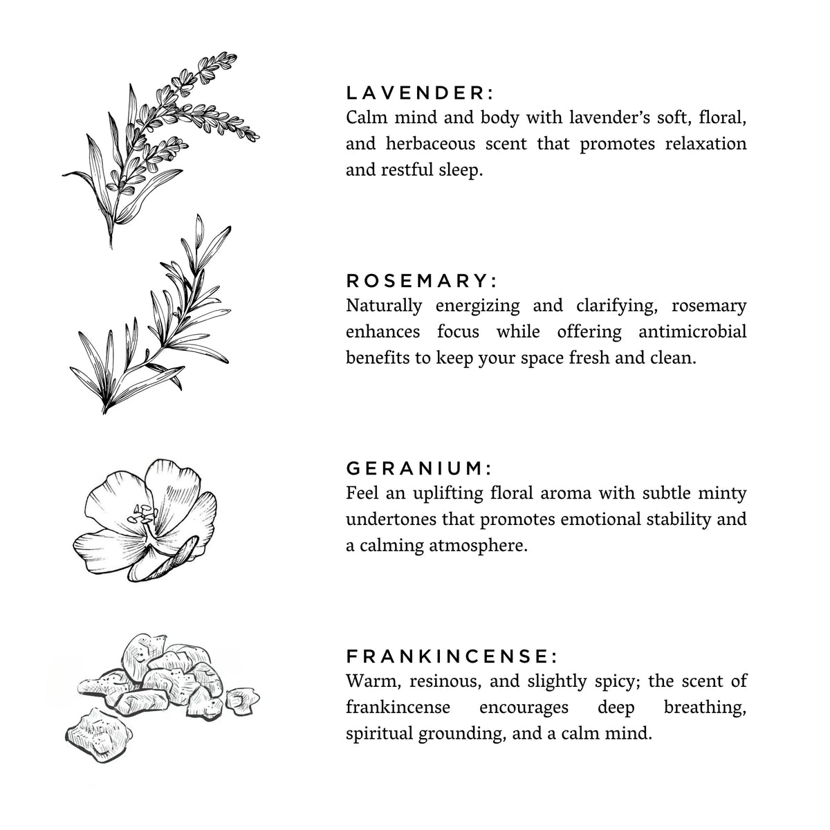 Midnight Garden - Lavender + Rosemary + Geranium by Slow North